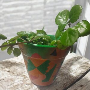 Vasinho - Decoupage com Tecido Africano