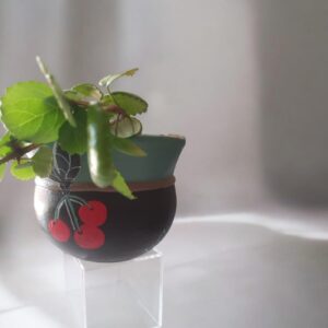 Vasinho ou Cachepô Cereja